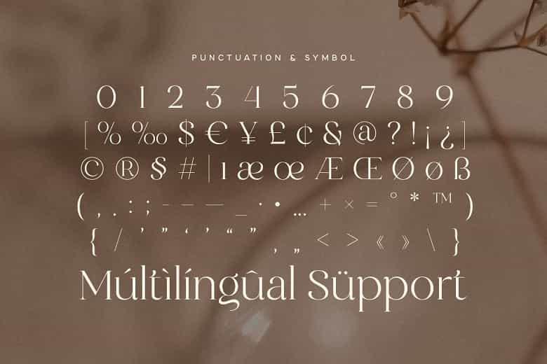 Clarist Font Image 3