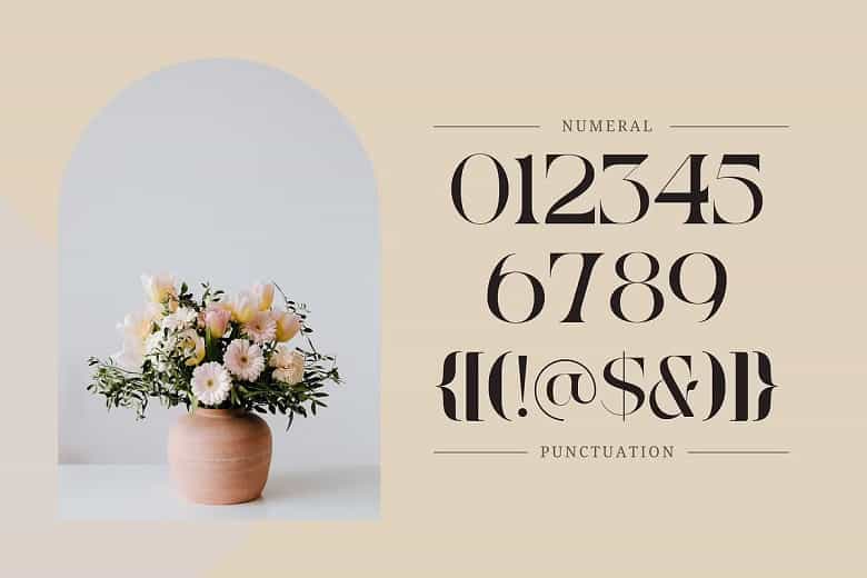 Reaga Vintage Font Image 4