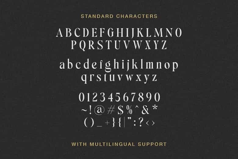 Silver Delight Font Image 3