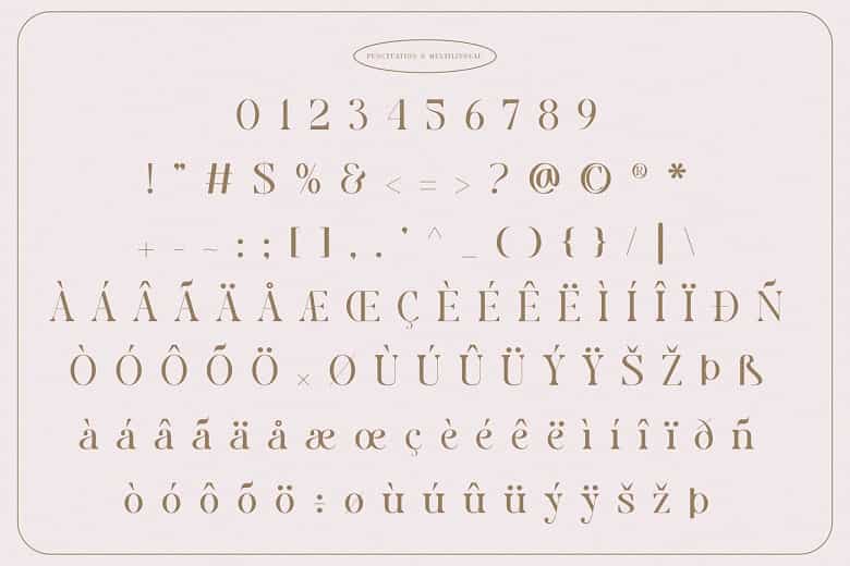 Ginger Brand Font Image 3