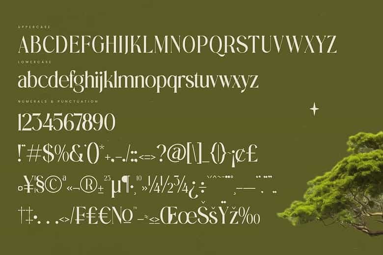 Eternalo Font Image 3