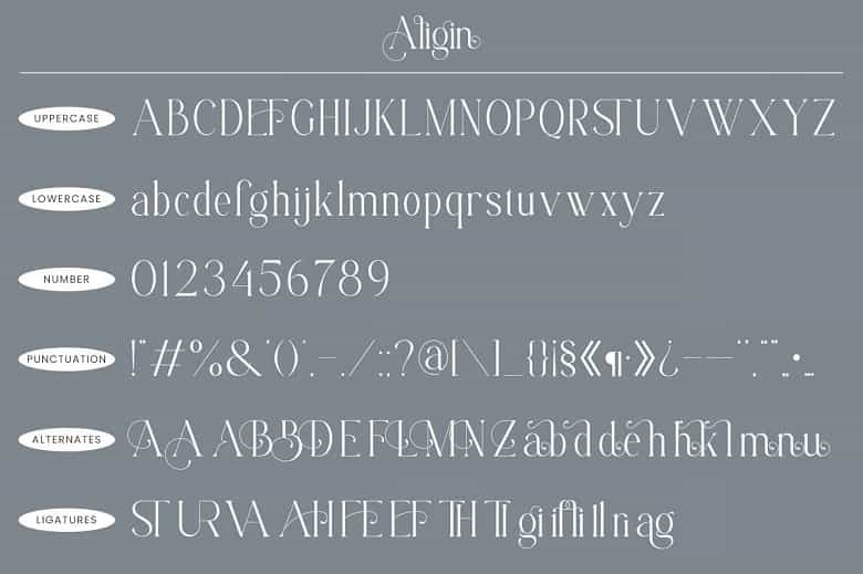 Aligin Font Image 3