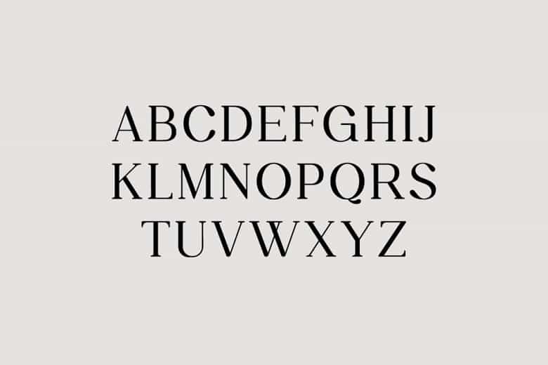 Daily Magazine Font Family Image 2