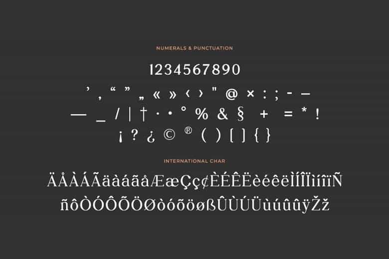 Daily Magazine Font Family Image 4