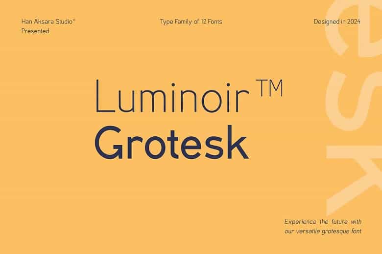Luminoir Grotesk Font Image 1