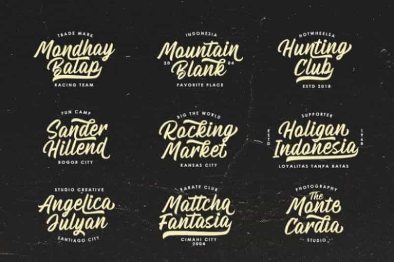 Billskates Script Font Image 2