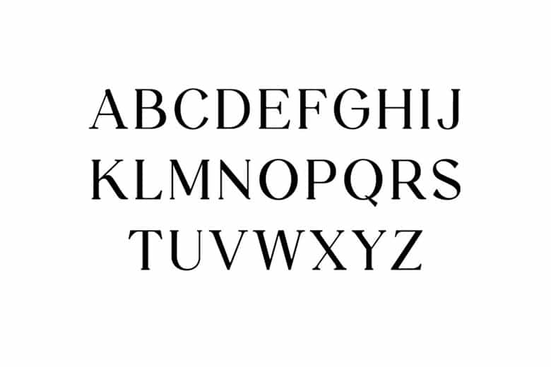 Stylebooks Typeface Family Image 2