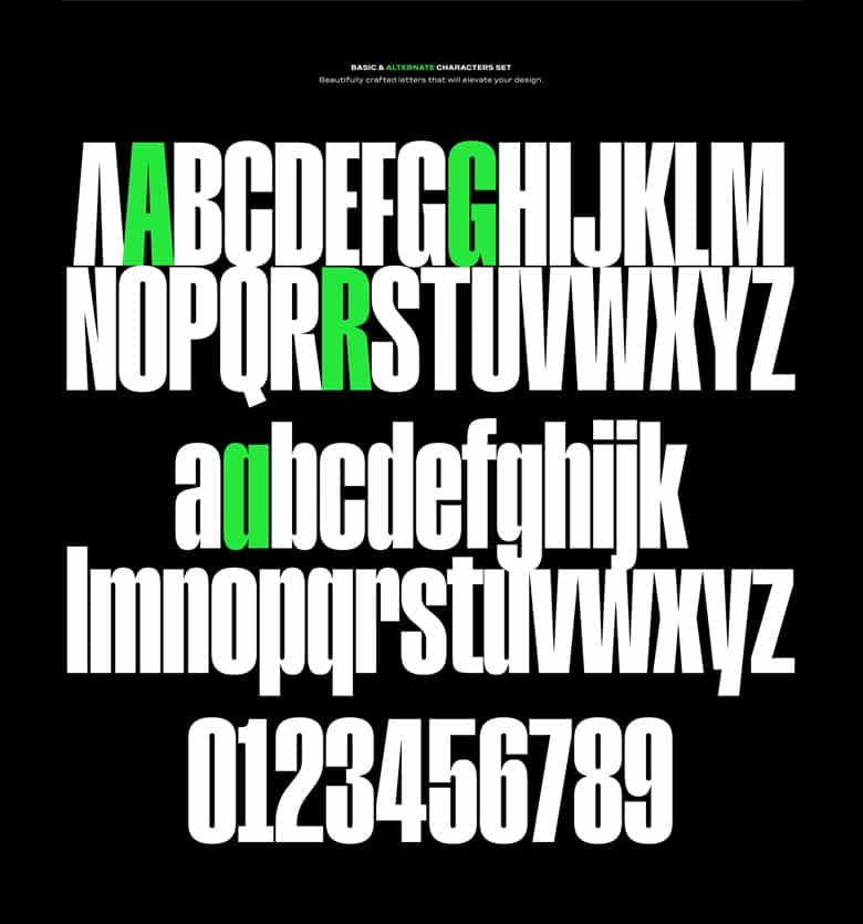 Raging Font Family Image 3