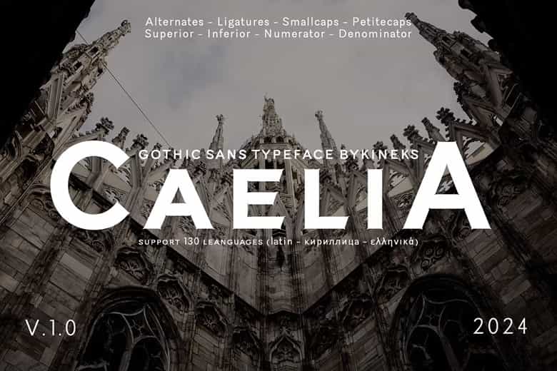 Caelia Font Family Image 1