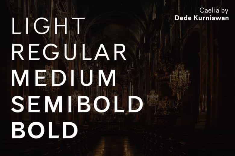 Caelia Font Family Image 3