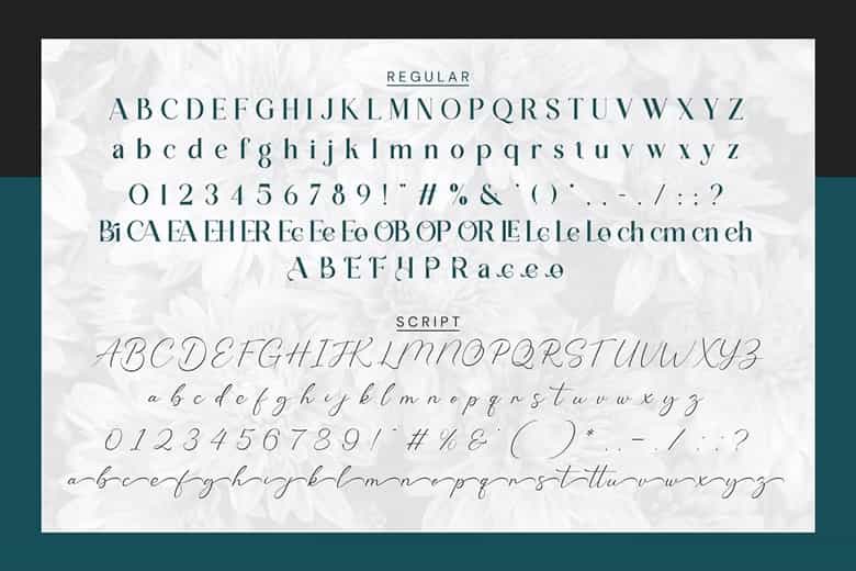 Loreal Shilone Font Image 3