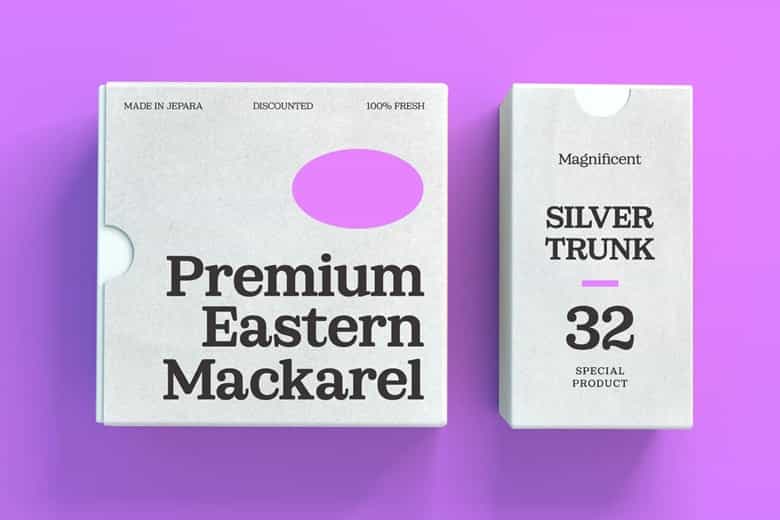 Sailer Font Family Image 2