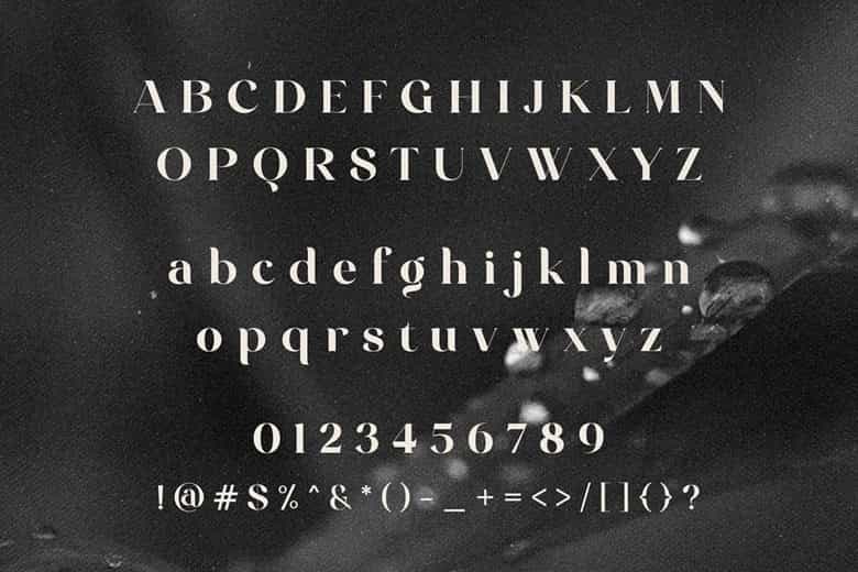 Celinda Font Image 3