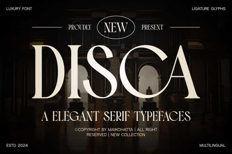 Disca Font Image 1