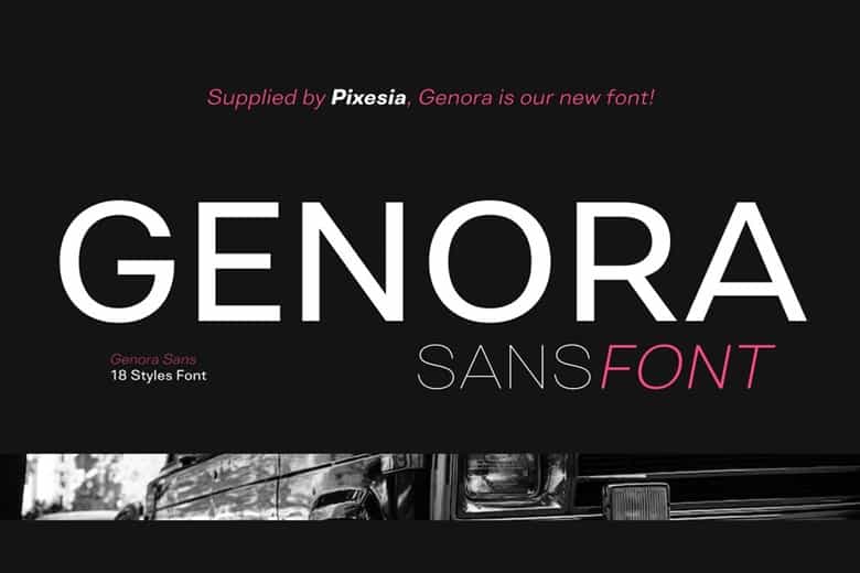 Genora Sans Font Image 1