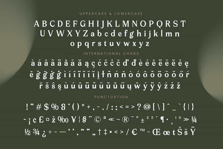 Arguys Regret Font Image 3