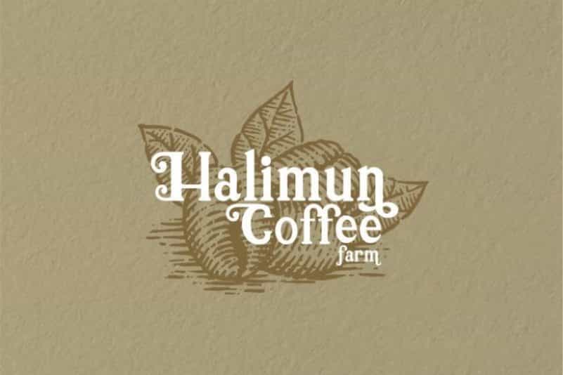 Holiday Font Image 2