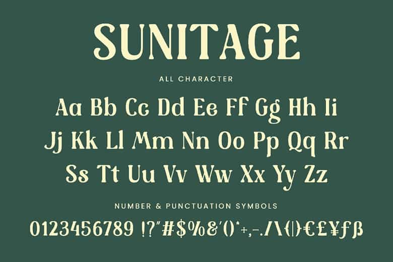 Sunitage Font Image 3