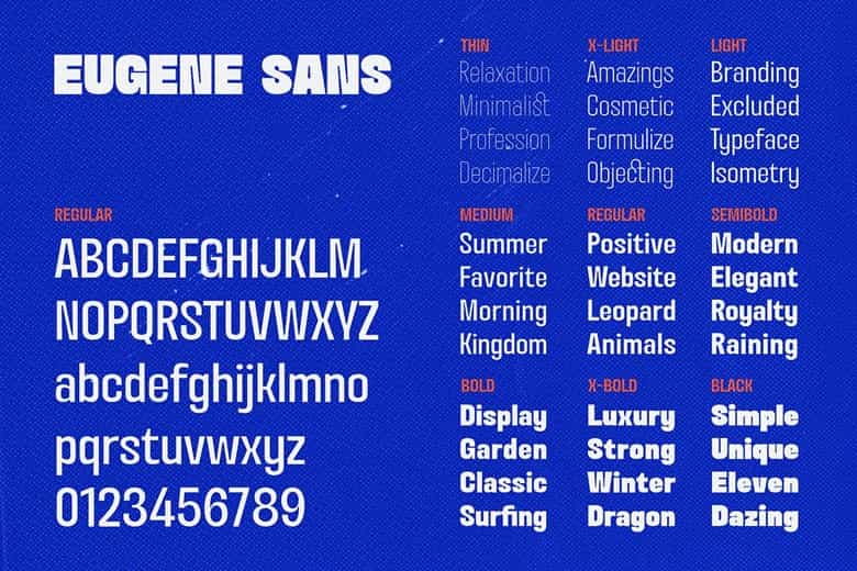 Eugene Sans Font Family Image 3