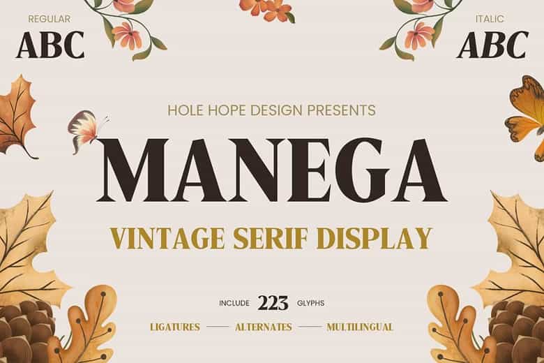 Manega Font Image 1