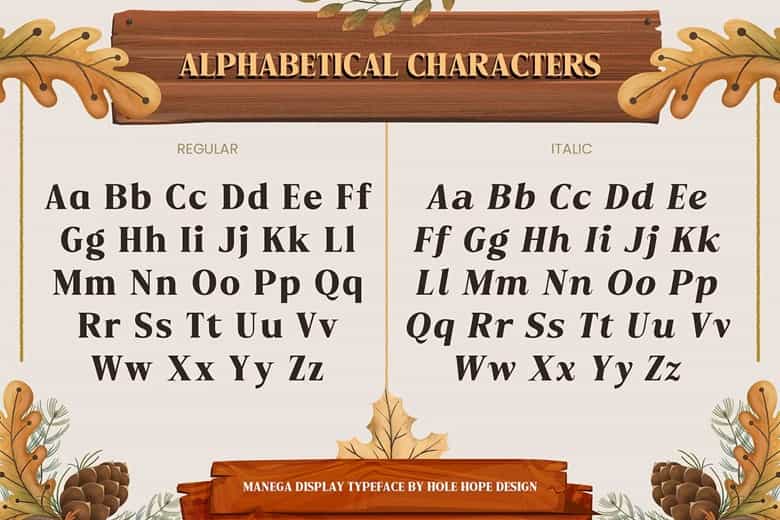 Manega Font Image 2