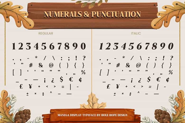 Manega Font Image 3