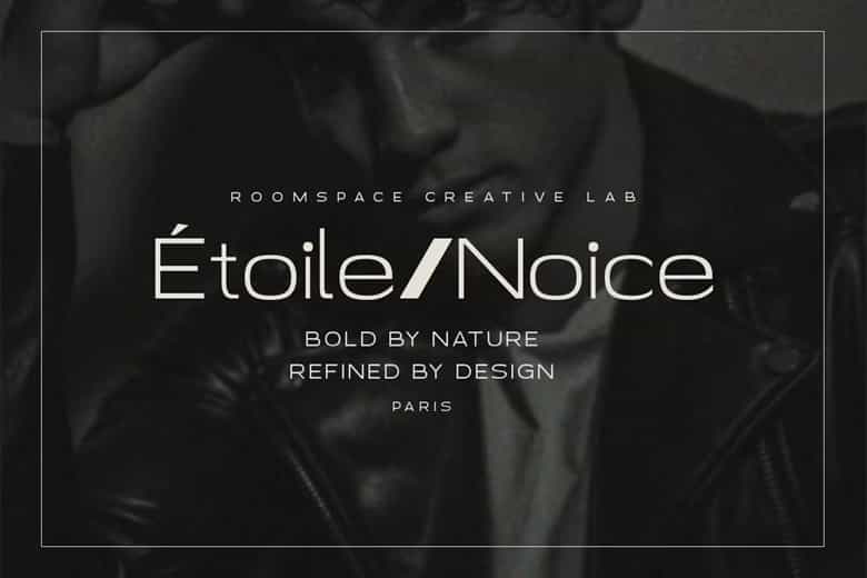 Neo Chic Font Family Image 2