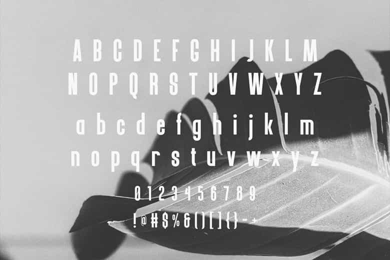 Brownland Font Image 3