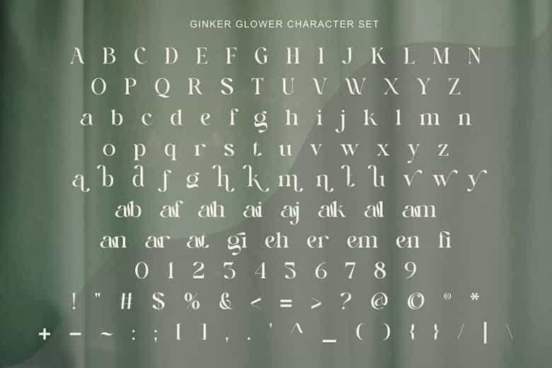Ginker Glower Font Image 3
