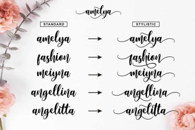 Amelya Font Image 2