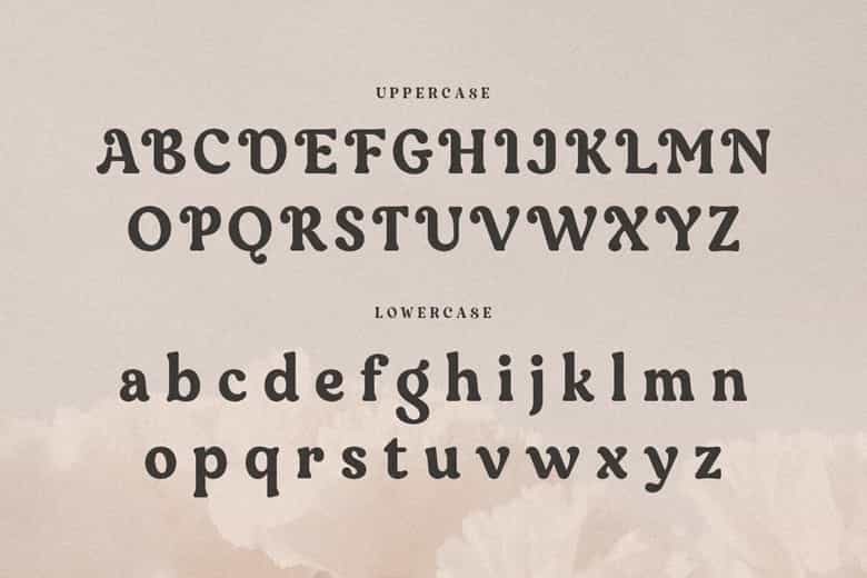 Bongita Font Image 2