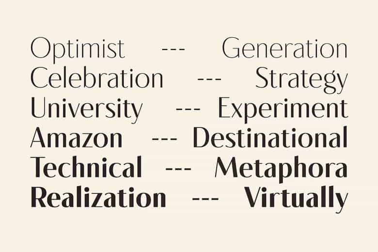 Diona Sans Font Image 2