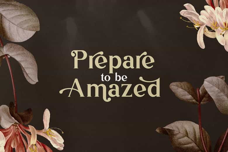 Vintage Mintage Font Image 2