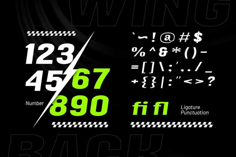 Wingback Font Image 3