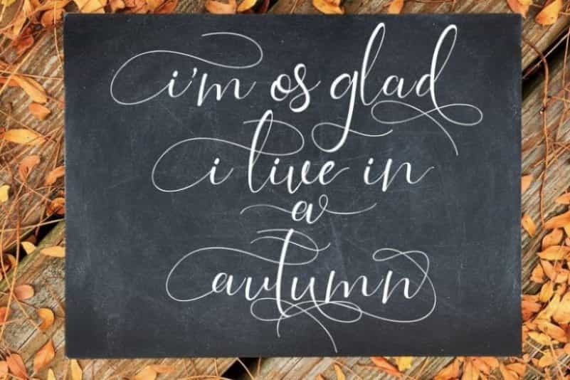 Isabela Calligraphy Font Image 2