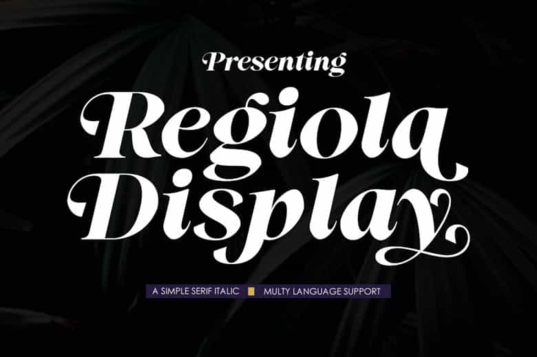 Regiola Display Font Image 1