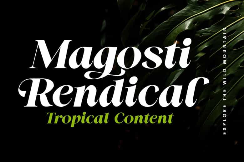Regiola Display Font Image 2