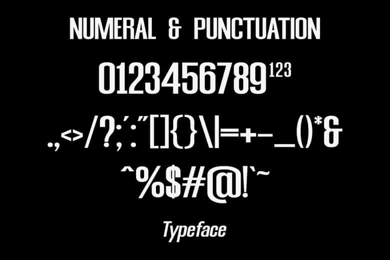 Sanguard Font Image 3