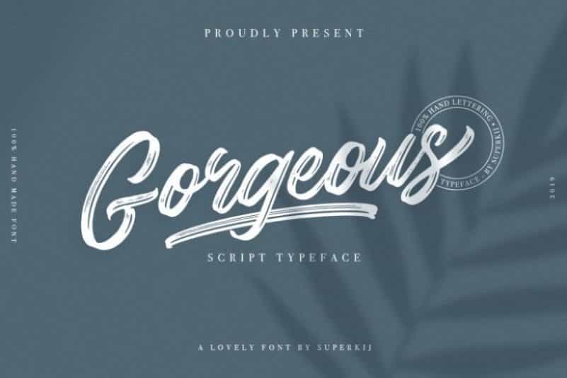 Gorgeous Script Typeface Image 1