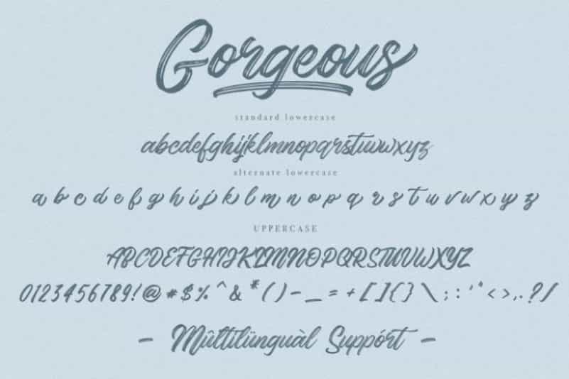 Gorgeous Script Typeface Image 2