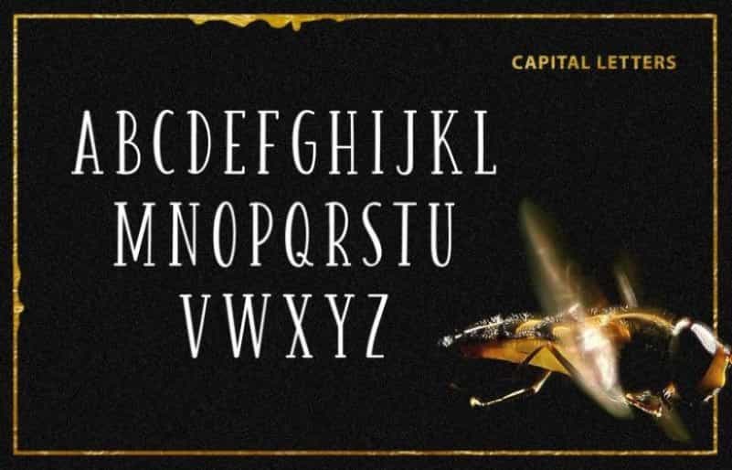 Honey & Jam Font Family Image 3