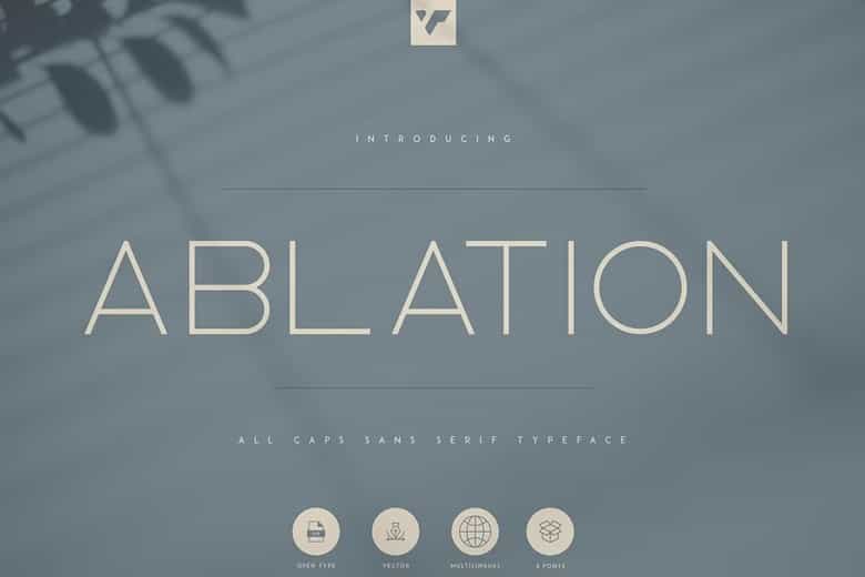 Ablation Font Image 4