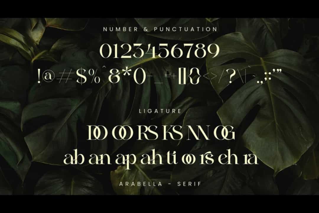 Arabella Font Image 6