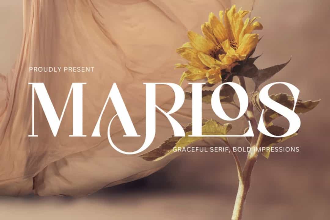 Marlos Font Image 4