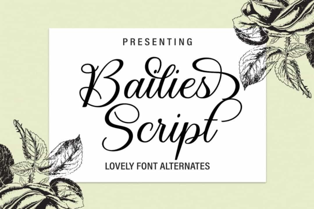 Bailies Script Font Image 7