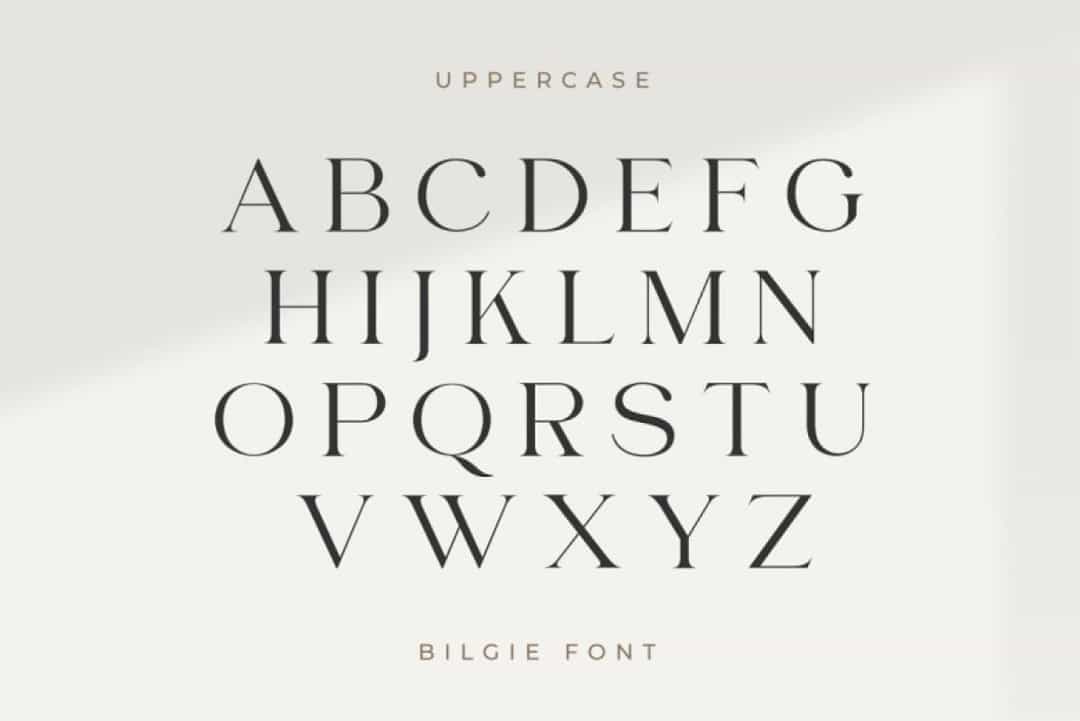 Bilgie Font Image 8