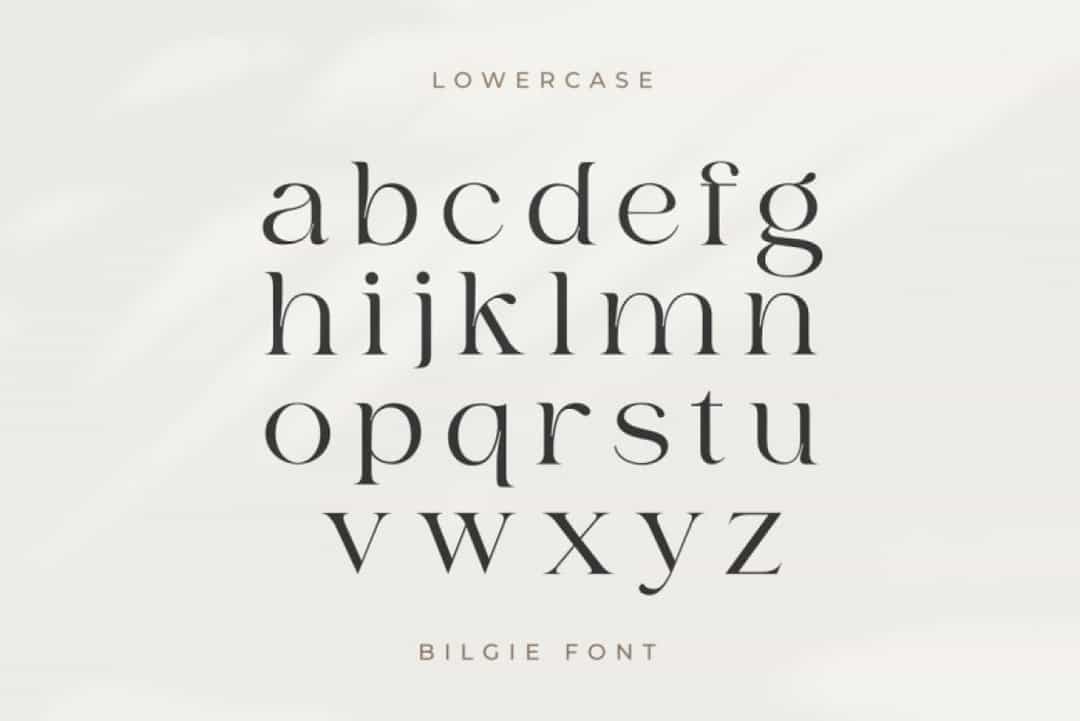 Bilgie Font Image 15
