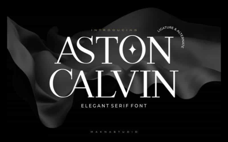 Aston Calvin Font Image 5