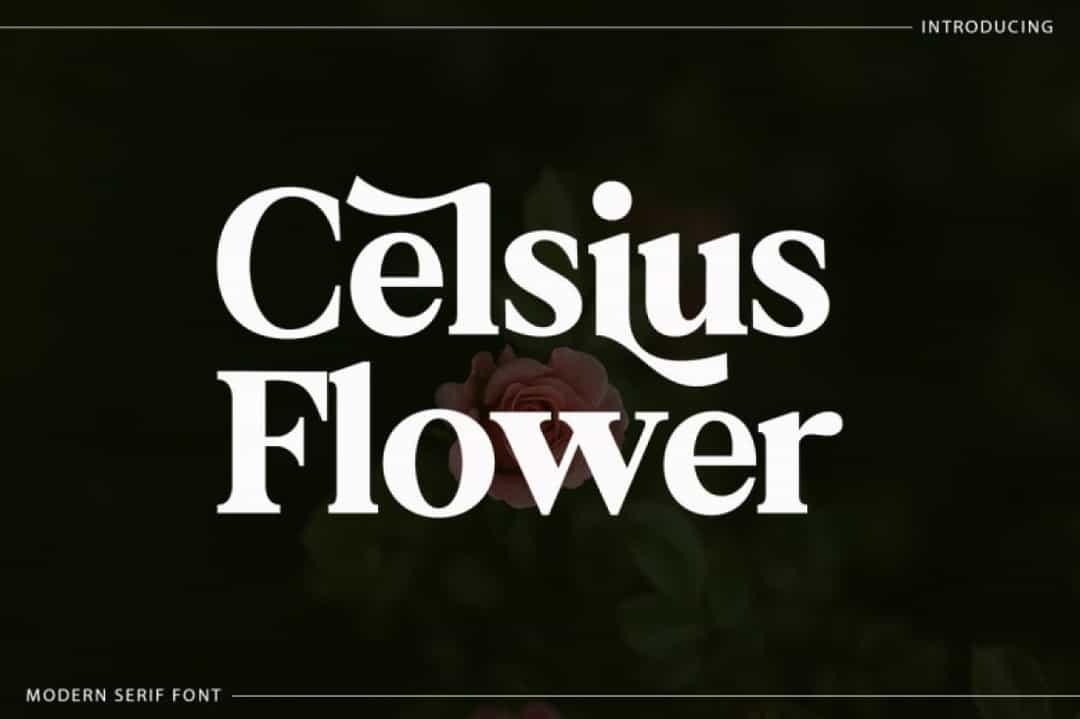 Celsius Flower Font Image 4