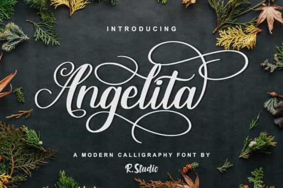 Angelita Script Font Image 1